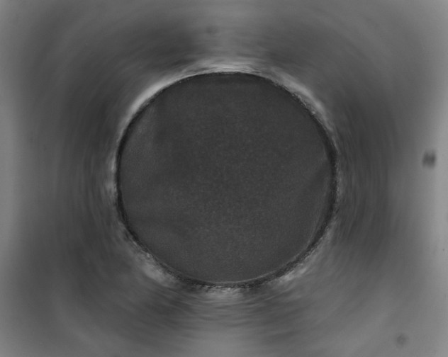 X0000101141174200807110936