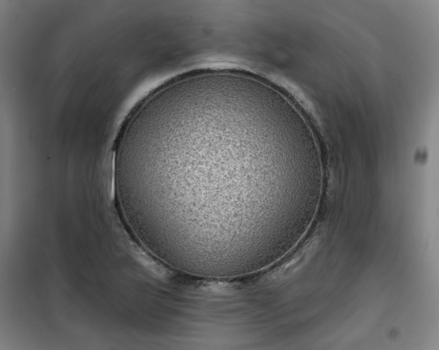 X0000101141175200807110936