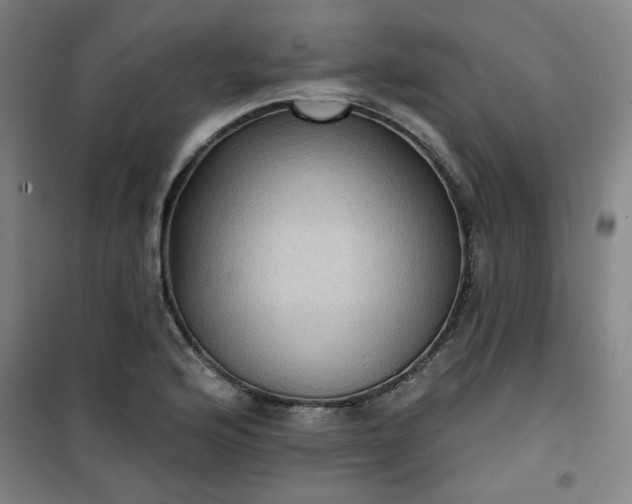 X0000101141176200807110935