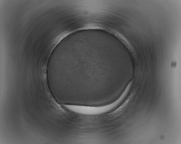 X0000101141177200807110935