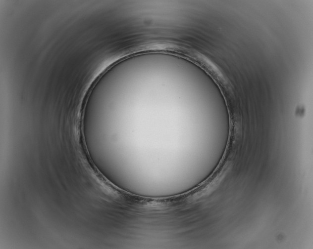 X0000101141178200807110935