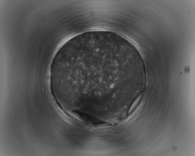 X0000101141179200807110935