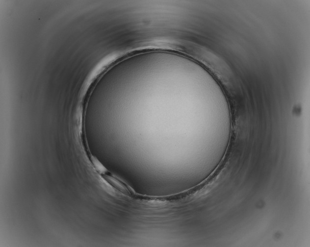 X0000101141180200807110935