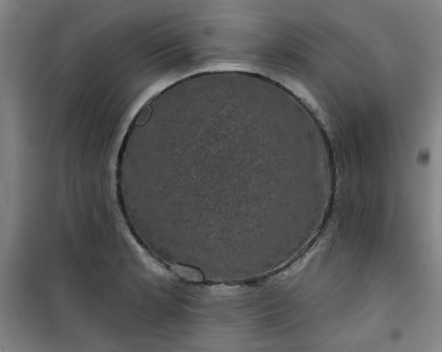 X0000101141181200807110935