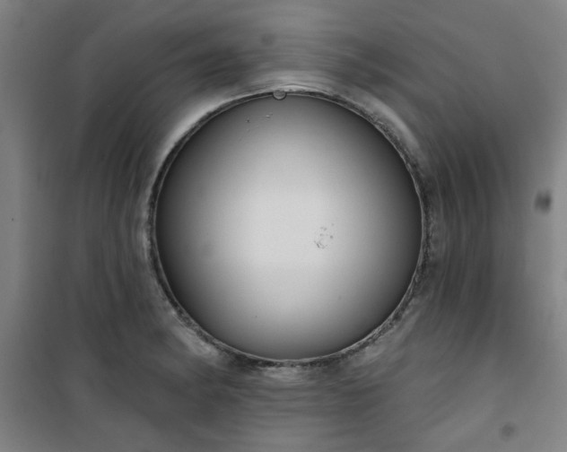 X0000101141182200807110935