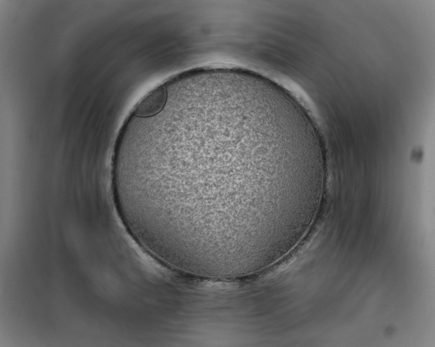 X0000101141183200807110935