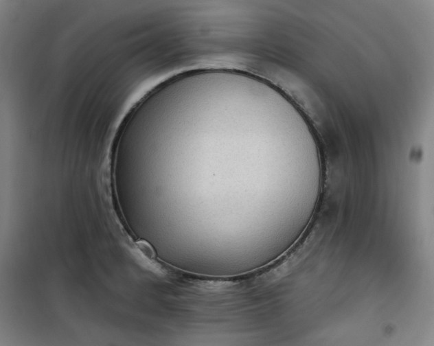 X0000101141184200807110935