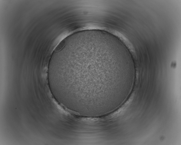 X0000101141185200807110935