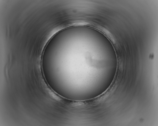 X0000101141186200807110935