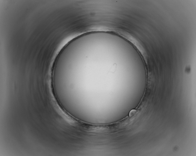 X0000101141187200807110935