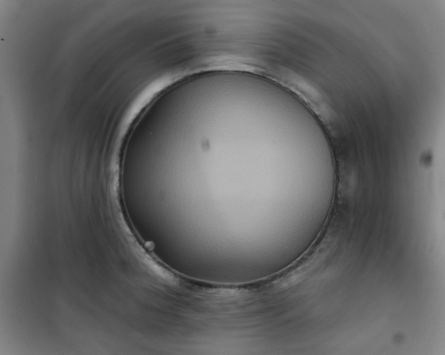 X0000101141188200807110935