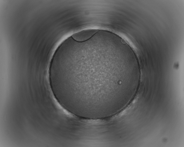 X0000101141189200807110935