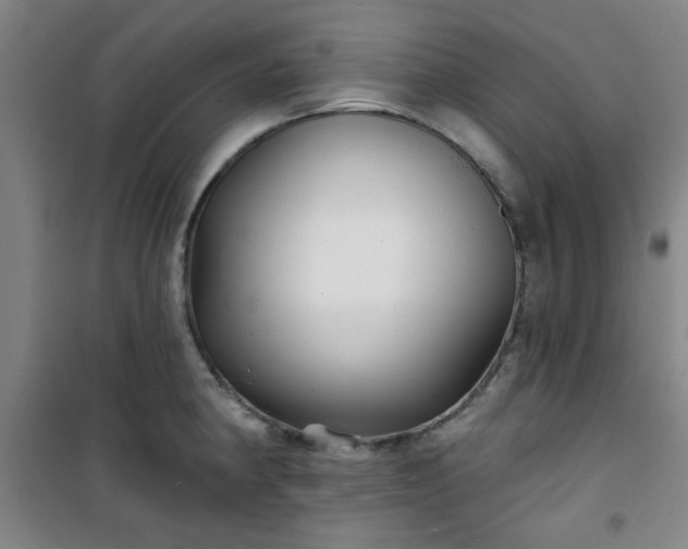 X0000101141190200807110935