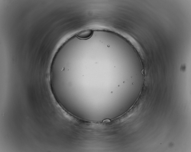 X0000101141191200807110935