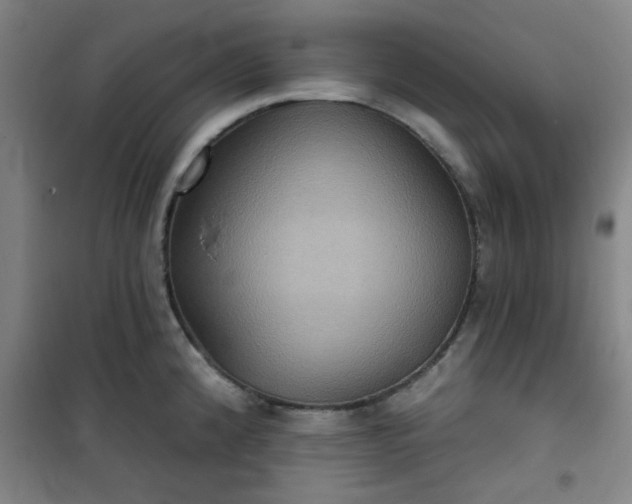 X0000101141192200807110935