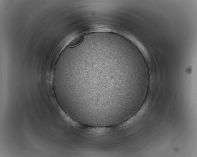 X0000101141193200807110935