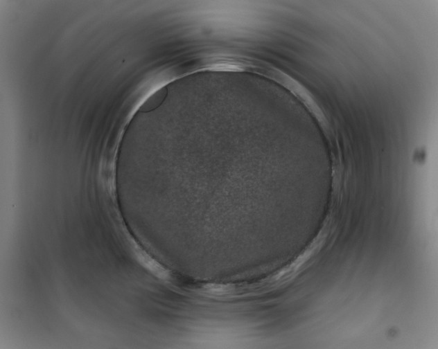 X0000101141194200807110935