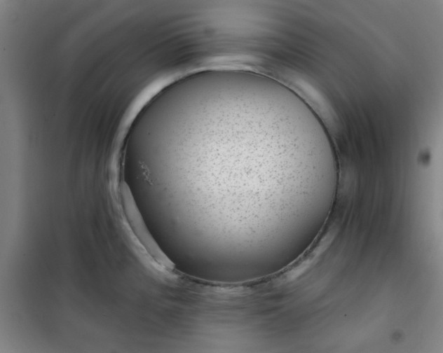 X0000101141196200807110935