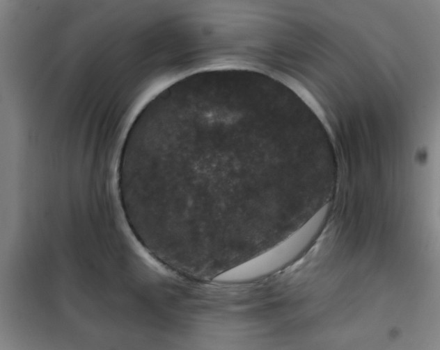 X0000101141197200807110935