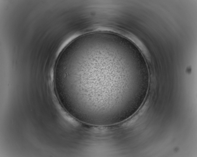 X0000101141198200807110935