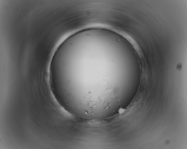 X0000101141199200807110935