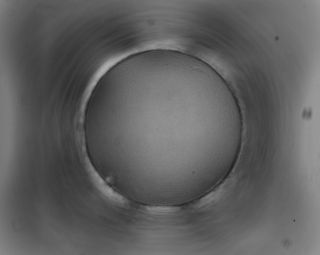 X0000101141200200807110935