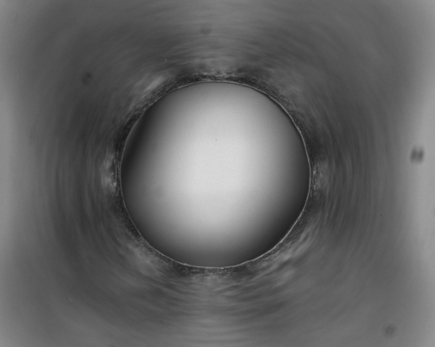 X0000101141202200807110934