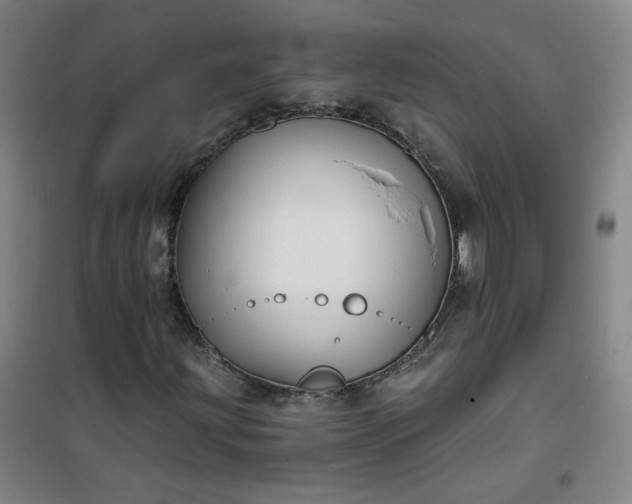 X0000101141203200807110934