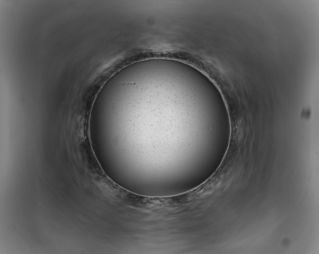 X0000101141205200807110934