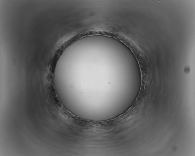 X0000101141207200807110934