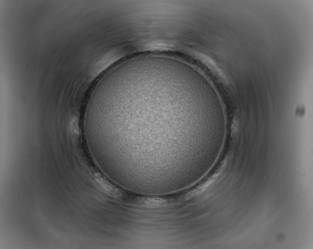 X0000101141209200807110934