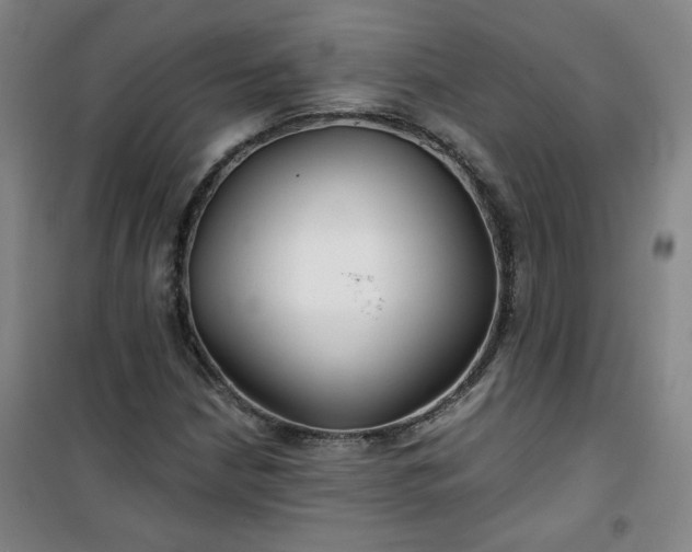 X0000101141210200807110934