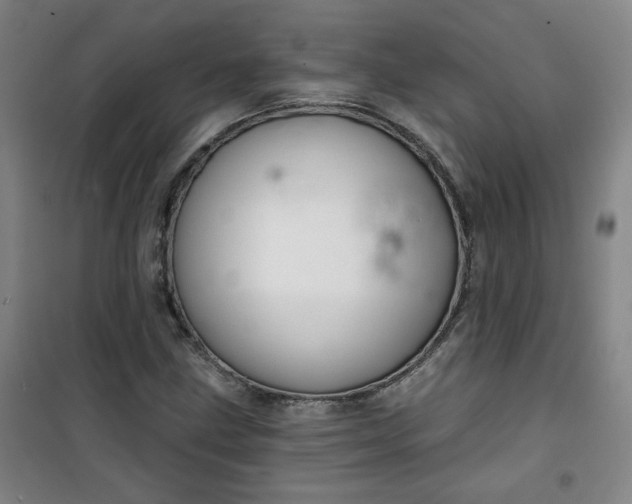 X0000101141211200807110934