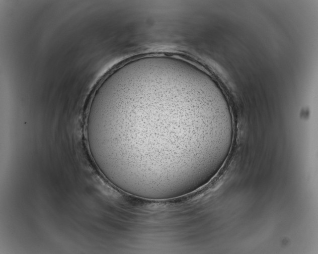 X0000101141212200807110934