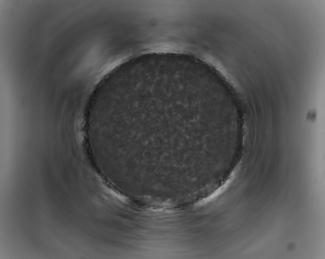 X0000101141213200807110935