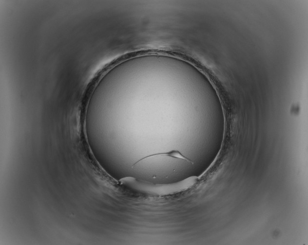 X0000101141214200807110935