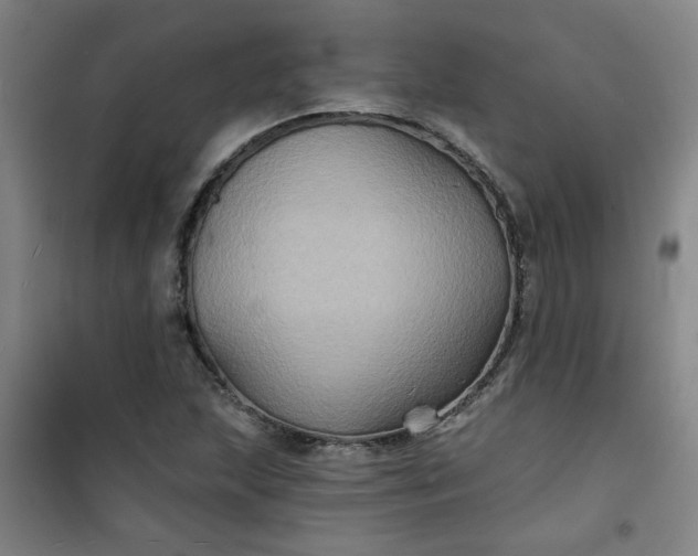 X0000101141215200807110935