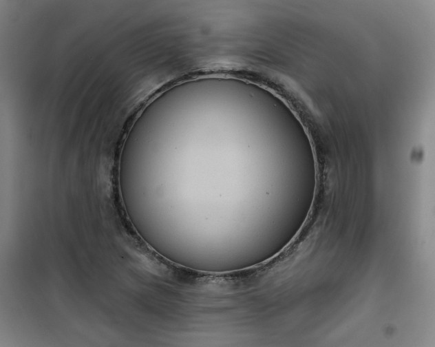 X0000101141217200807110935