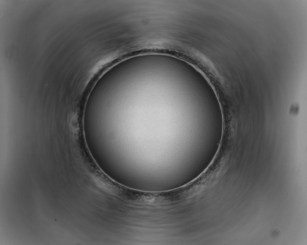 X0000101141218200807110935