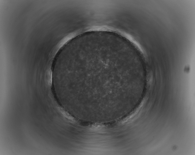 X0000101141221200807110935