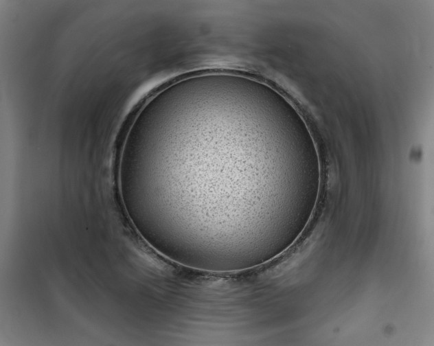 X0000101141222200807110935