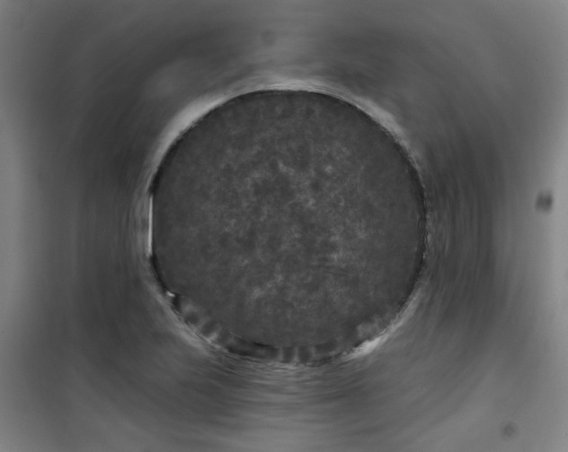 X0000101141223200807110935