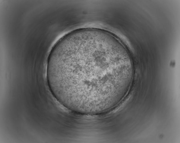 X0000101141224200807110935