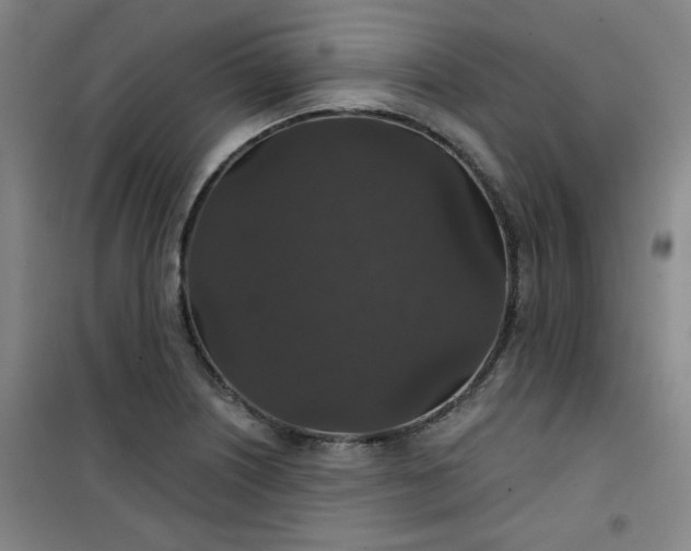 X0000101141226200807110935