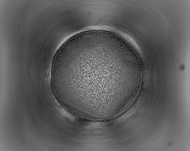 X0000101141228200807110935