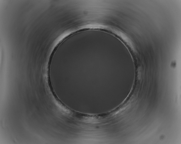 X0000101141229200807110935