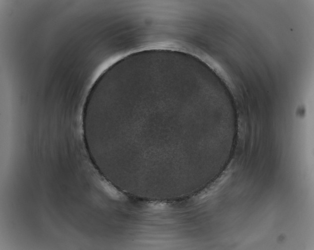 X0000101141230200807110935