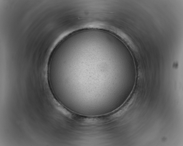 X0000101141232200807110935