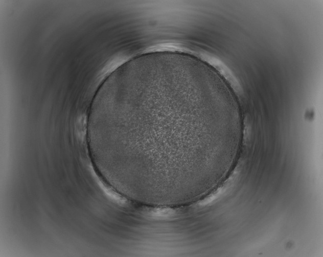 X0000101141233200807110935