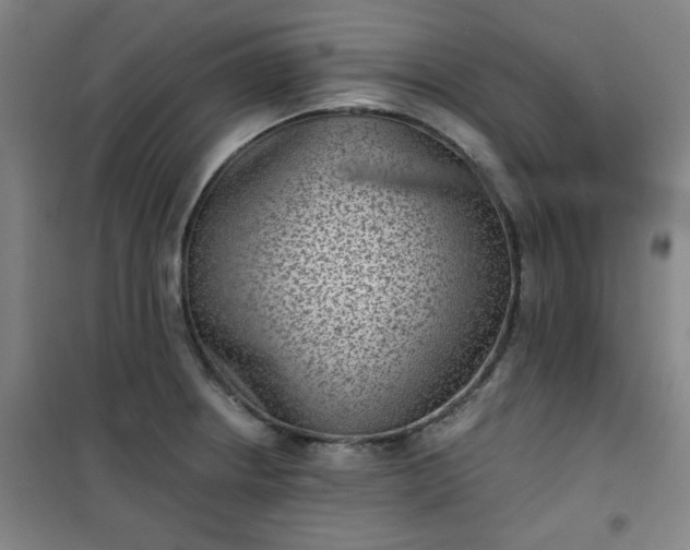 X0000101141234200807110935